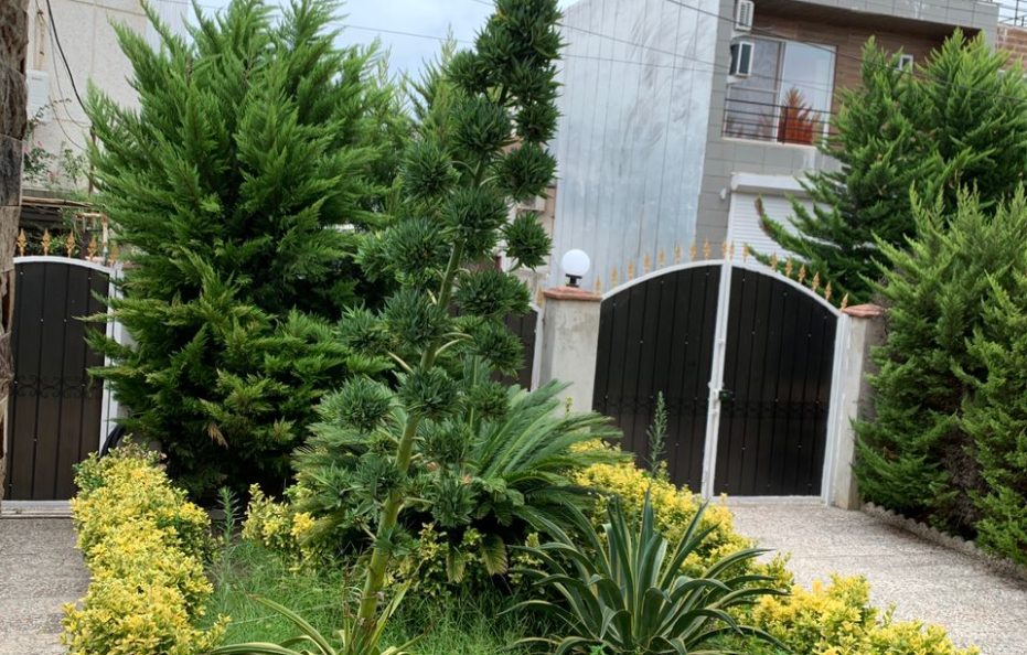 ویلا چاکسر سرخرود